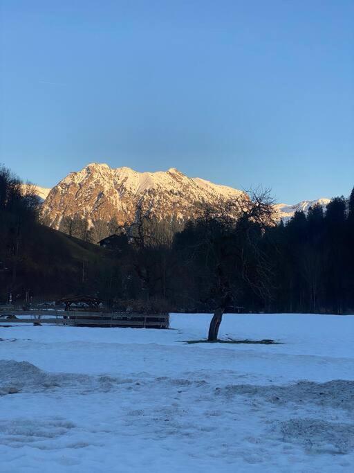 Gruenes Stueble Allgaeuer Alpen Sonthofen Buitenkant foto